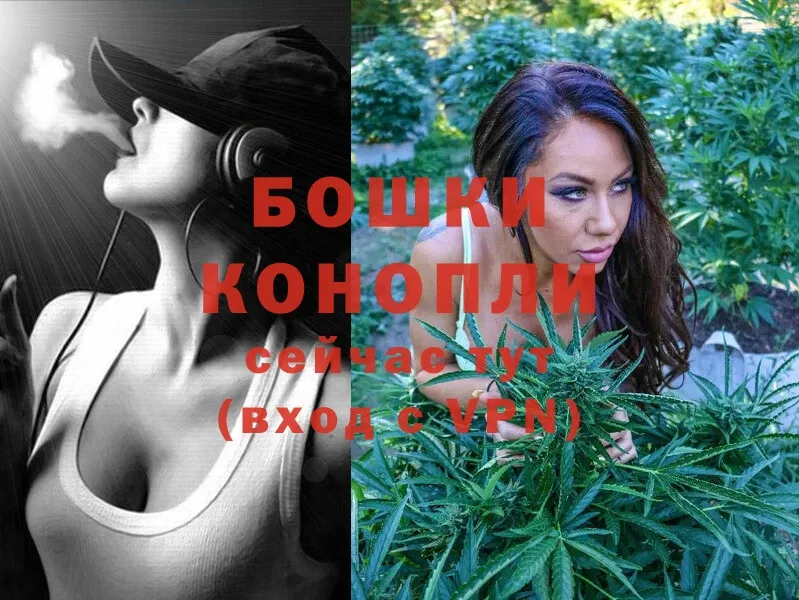 Конопля White Widow  Верхняя Тура 